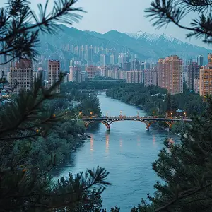 成都酸菜公司排名榜前十